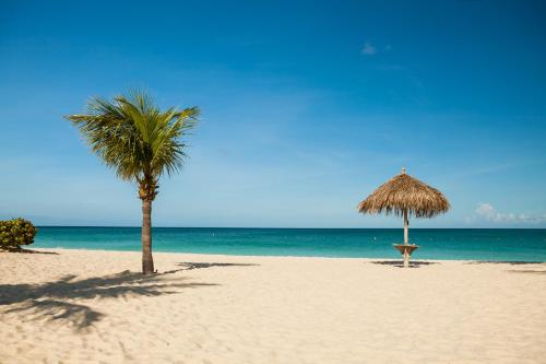 two palm trees on a sandy beach with the ocean at Put On Your Red Shoes And At This Condo in Madiki