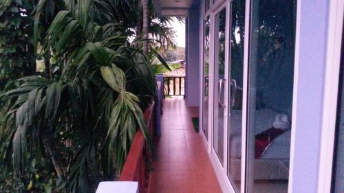Κήπος έξω από το Hotel Rung Phangan