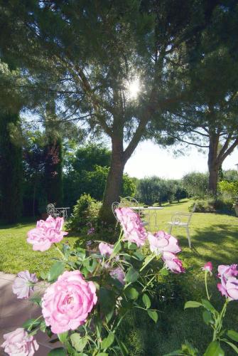 a group of pink roses in front of a tree at Il Rondò Boutique Hotel in Montepulciano