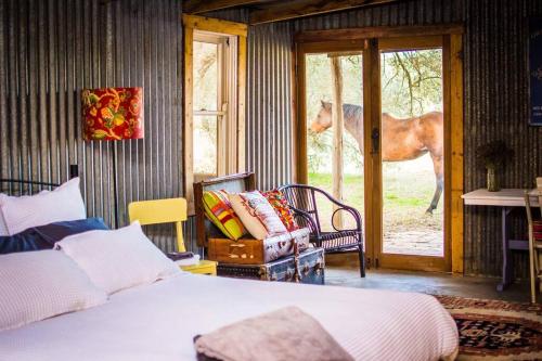 考拉The Shearing Shed - Boutique Farm Stay的卧室的马停在门外