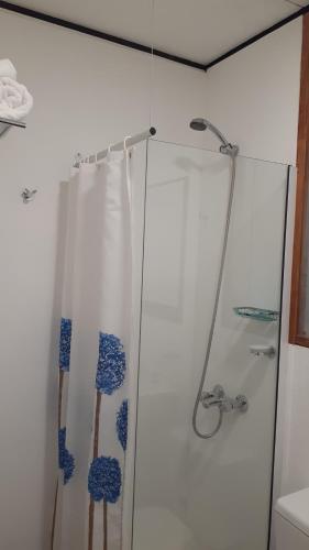 y baño con ducha y cortina de ducha. en vagones de la patagonia en El Calafate