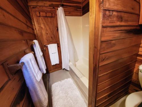 een badkamer met een douche en een toilet in een kamer bij Elk Mountain Ski Resort: Home on 21 Acres in Union Dale