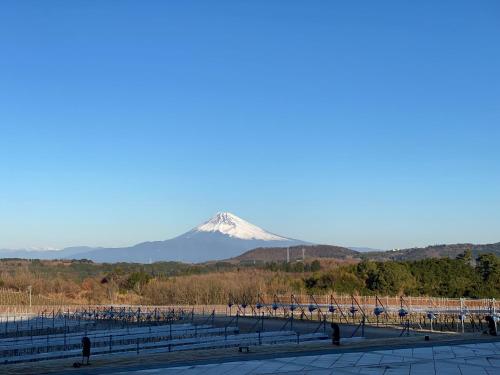 Hotel Winery Hill – Photos 3