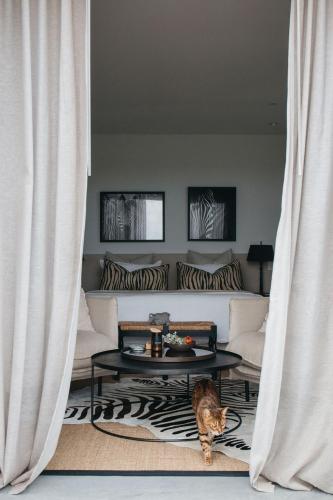 a cat sitting in a living room looking through a curtain at Majuba Country Lodge in Kalgan