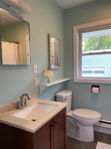 a bathroom with a sink and a toilet and a mirror at Cozy studio, minutes from downtown. Quiet. in South Burlington