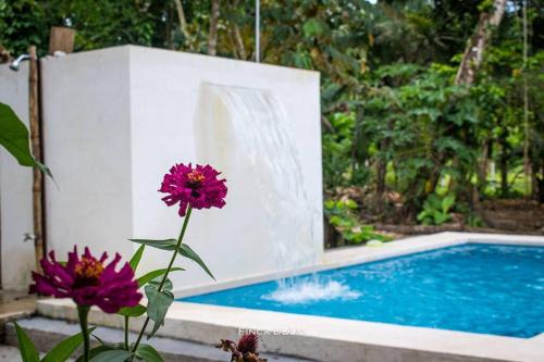 a swimming pool with a purple flower next to it at Finca D'Elía Lodge in Puerto Limón
