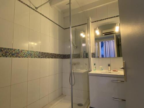 une salle de bain avec douche et lavabo dans l'établissement Appartement avec terrasse, parking et vue sur port à Capbreton - FR-1-413-130, à Capbreton