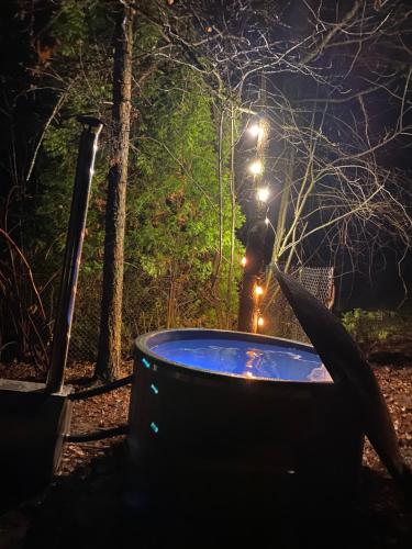 a hot tub in the woods at night at Antonówka in Woryty