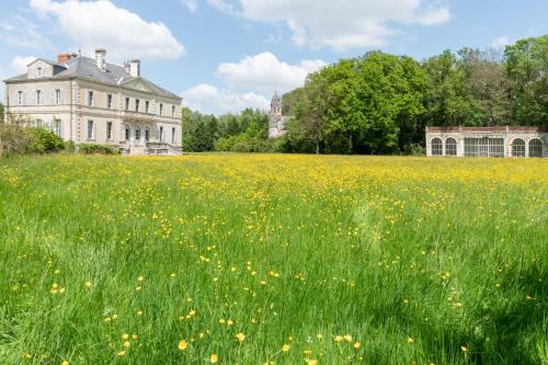 a field of flowers in front of an old house at Chateau du Hallay in Montaigu-Vendée