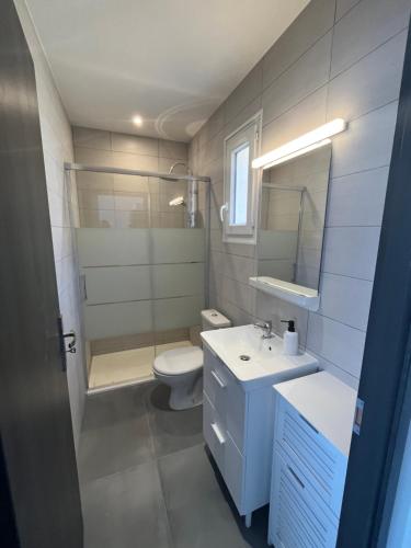 une salle de bain avec toilettes, lavabo et miroir dans l'établissement Maison T1 bis Corse, à Lucciana