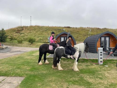 due persone che cavalcano a cavallo di fronte a una tenda di Marina Bay Pods ad Aberdeen