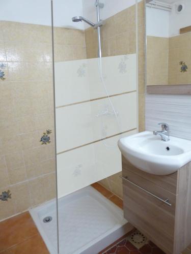 une salle de bain avec douche et lavabo dans l'établissement Bas de villa jardin plein sud proche mer clim-Wifi, à Saint-Mandrier-sur-Mer