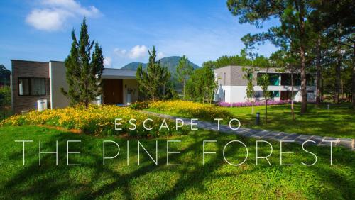 a house with the words escape to the pine forest at Terracotta Hotel & Resort Dalat in Da Lat
