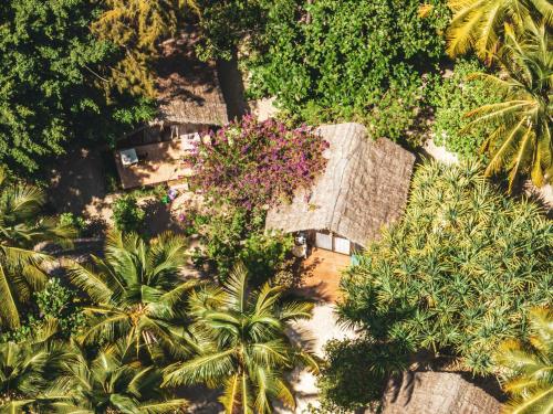 an aerial view of a resort with palm trees and plants at Kinazi Upepo Beach Hotel in Paje