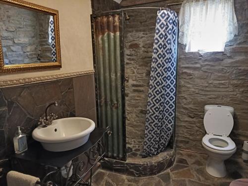 a bathroom with a sink and a toilet and a shower at Die Stal in Sutherland