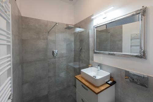 a bathroom with a sink and a shower at PROVENIR HOME KWIATOWA 5 in Poznań