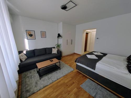 S15 Studio Apartment FREE PARKING في زغرب: غرفة معيشة مع سرير وأريكة
