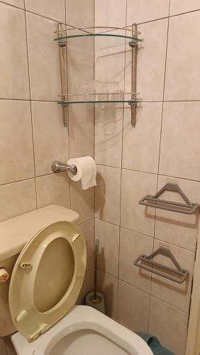 a bathroom with a toilet with a roll of toilet paper at Taitung Travel Hostel in Taitung City