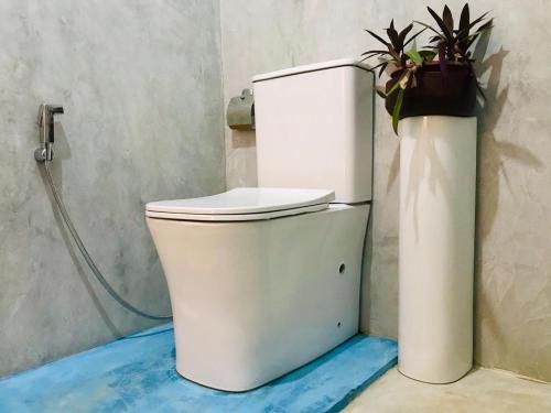a toilet in a bathroom with a potted plant at Sriyan Villa in Beruwala