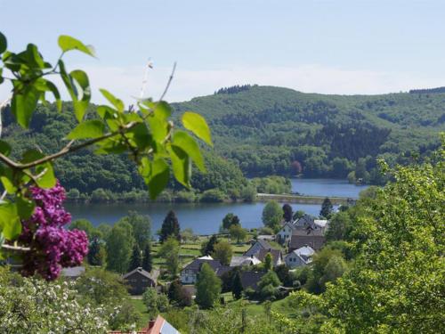 a view of a town with a lake and trees at Ferienwohnung EIFEL-FLAIR geräumig-stilvoll-ruhige Lage am Rursee und Nationalpark Eifel in Rurberg