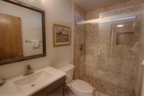 a bathroom with a shower and a toilet and a sink at Tahoe Olympic condo in Stateline