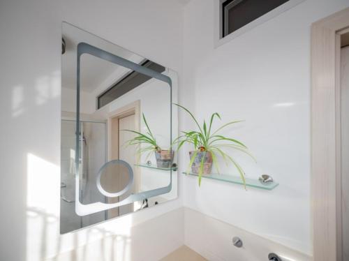 a bathroom with a mirror and two plants at Ferienwohnung Bär in Großräschen