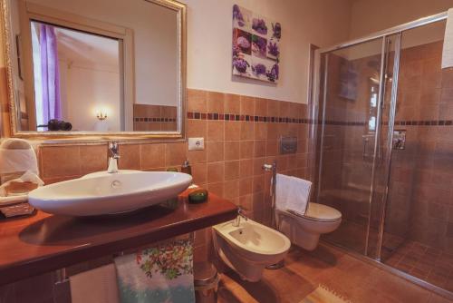 a bathroom with a sink and a toilet and a shower at Agriturismo Tre Stelle in Barbaresco
