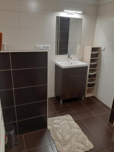a bathroom with a sink and a mirror at Apartmán Na Kamenu in Frýdlant