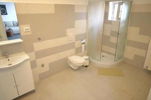 a bathroom with a toilet and a shower at Luana Airport Apartments #7 in Otopeni