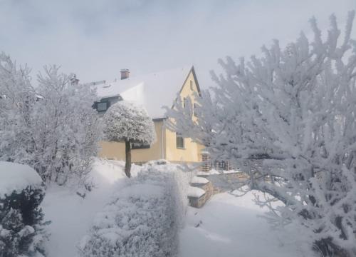 a house covered in snow with trees and bushes at Ferienhaus Bringfriede in Muldenhammer