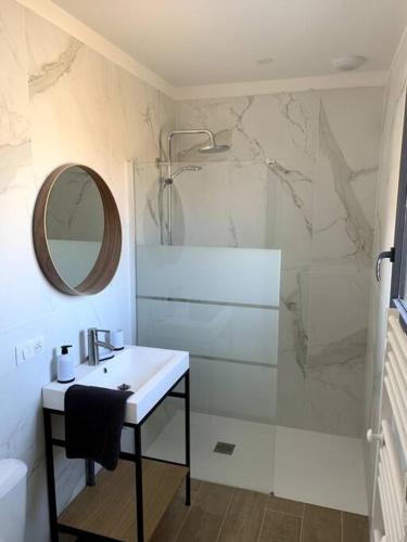 une salle de bain avec un lavabo, un miroir et une douche dans l'établissement A 10min d'Hossegor, T2 avec jardinet et terrasse, à Tosse