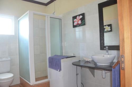 a bathroom with a sink and a toilet at Butterfly Villas in Grand'Anse Praslin