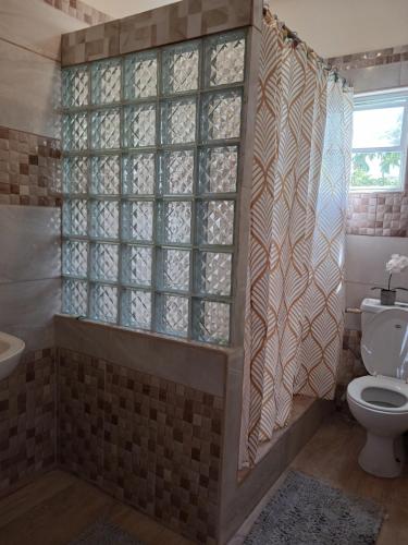 a bathroom with a shower with a toilet and a window at Teverence in Sandy Point Town