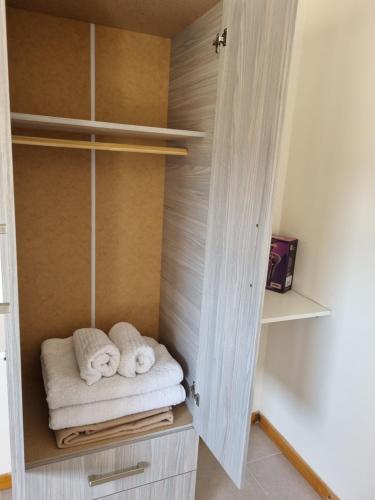 a walk in closet with towels in it at Calahue Apart in Trevelin