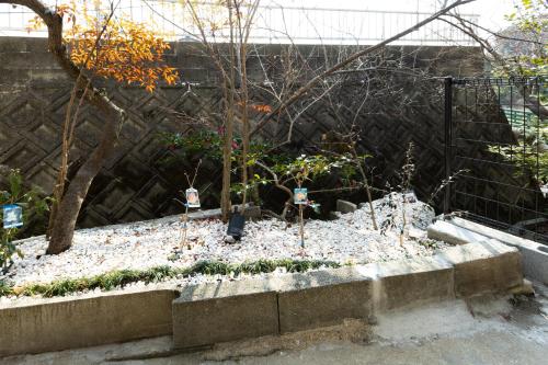 a garden with a fence and some plants at The minpark in Dazaifu