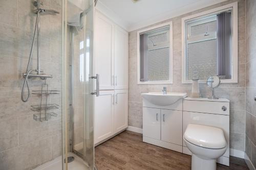 a bathroom with a toilet and a sink and a shower at 17 Norton Park in Dartmouth