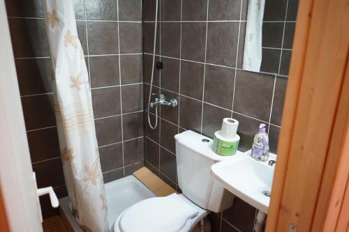 ein Bad mit einem WC, einem Waschbecken und einer Dusche in der Unterkunft Cabana Suprema Armonie in Dâmbovicioara