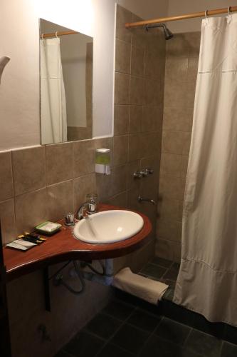 a bathroom with a sink and a shower at Hotel Punta Corral in Tilcara