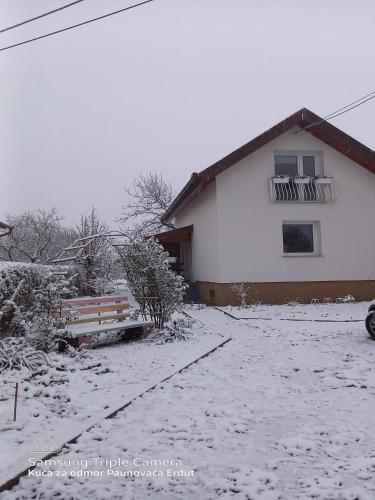 a house with a snow covered yard in front of it at Holiday Home Paunovaca in Erdut