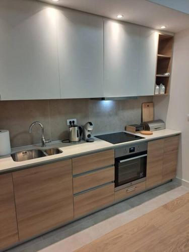 a kitchen with a sink and a stove top oven at MarijaN Belgrade Waterfront in Sajmište