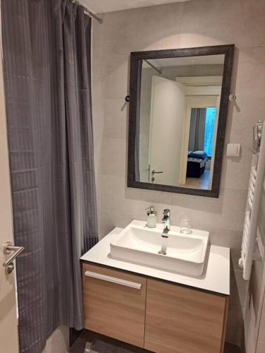 a bathroom with a sink and a mirror at MarijaN Belgrade Waterfront in Sajmište