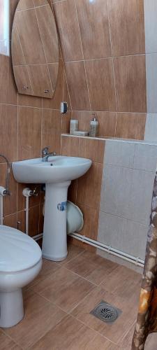 a bathroom with a white toilet and a sink at Vili Bilyana in Crni Vrh