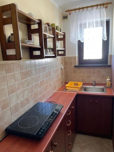 een keuken met een wastafel en een aanrecht bij Pokoje Gościnne u Ady in Jurgów