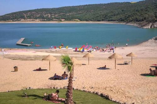 a beach with people laying on the sand and a palm tree at El rincón de Manolita #3 in Bornos