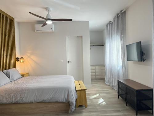 CD-Estudio, acogedor y funcional, céntrico, barrio tranquilo