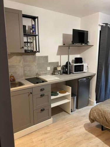 une petite cuisine avec un évier et un micro-ondes dans l'établissement Appart hôtel Toucy, à Toucy