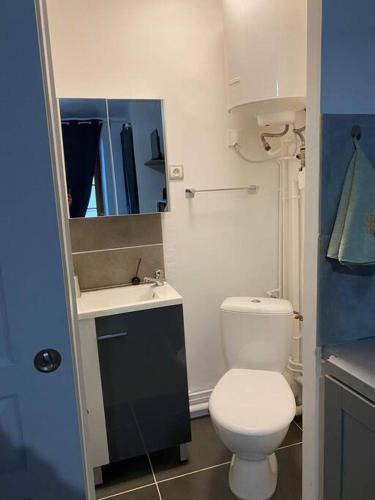 une petite salle de bain avec toilettes et lavabo dans l'établissement Appart hôtel Toucy, à Toucy