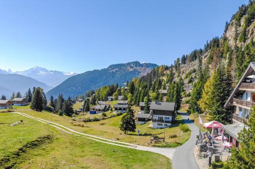 an aerial view of a village in the mountains at Adler 30 in Riederalp