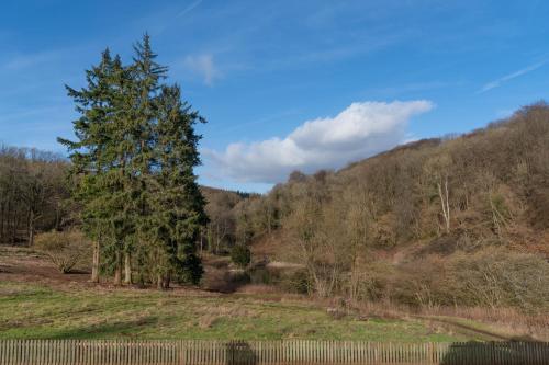 a tree in a field next to a fence at Quarry Lodge in Lydney