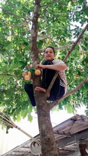 a person sitting on the top of a tree at B&B Verger Vannary in Phumĭ Băk Chĕnhchiĕn